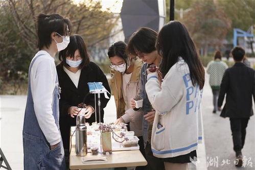 让你摆摊你竟闪婚大boss