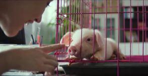 人怕出名猪怕壮,揭秘名人与平凡生活的微妙平衡